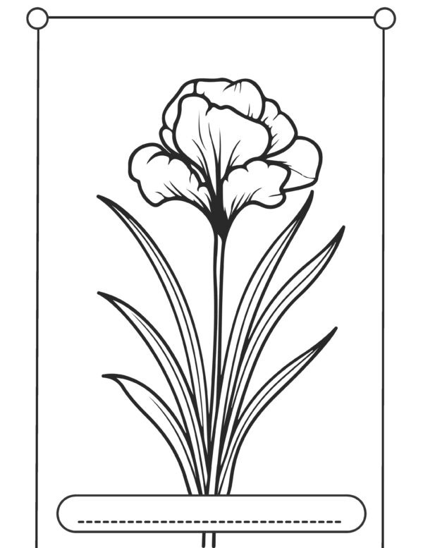 5_Page_2