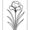 5_Page_2