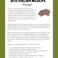 Wombat Research Project australian wildlife _Page_2