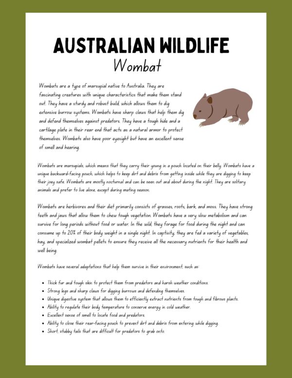 Wombat Research Project australian wildlife _Page_2